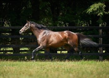 TIME TEST Yakında Türkiye’de!