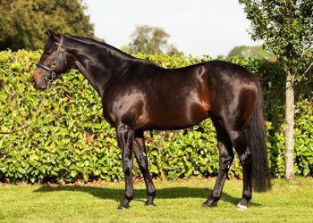 ARIZONA Aşım Sezonu İçin Ülkemizde