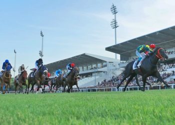 HASAN DOĞAN İSTANBUL 2.ALTILI