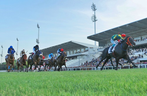 HASAN DOĞAN İSTANBUL 2.ALTILI