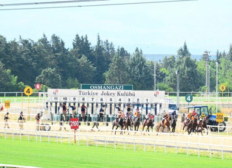 RAHMİ ÇETİN 06.01.2025 BURSA AT YARIŞI YORUMLARI