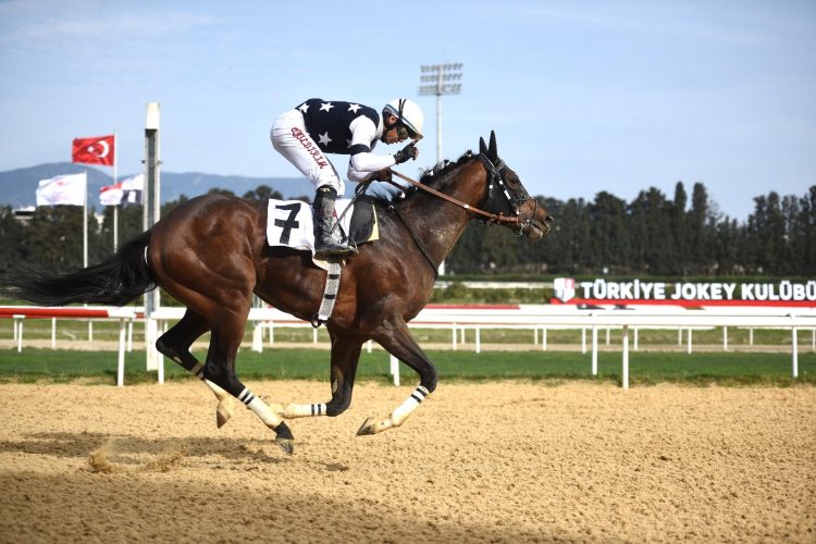 2025 YILININ İLK GRUP 1 MÜCADELESİ Bİ’TALİH EGE DERBİSİNDE KAZANAN DAPPER MAN OLDU.