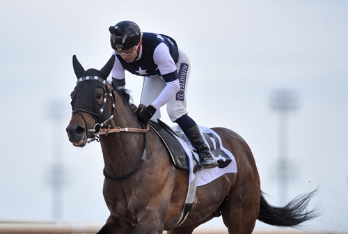 AKDENİZ DERBİSİNİN KAZANANI DAPPER MAN OLDU