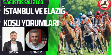 6 Ağustos Çarşamba İSTANBUL ve ELAZIĞ Koşu Yorumları