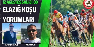 13 Ağustos Çarşamba ELAZIĞ Koşu Yorumları