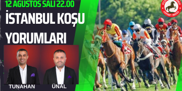 13 Ağustos Çarşamba ELAZIĞ Koşu Yorumları