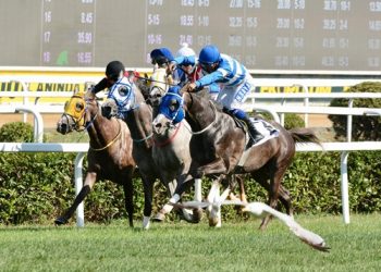 Çanakkale Zaferi Koşusu’nda galibiyete Bay Mırık uzandı