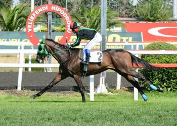 II. İnönü Koşusu’nu El Gladiador kazandı