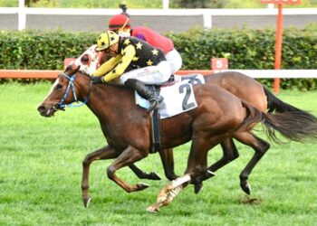 Zühtü Erişen Koşusu’nda galibiyete Amazing Touch ulaştı